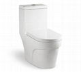 Siphonic One-piece Toilet 1