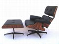 Eames Lounge Chair and Ottoman