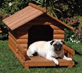 dog house 1