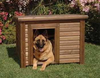 dog house