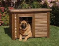 dog house 1