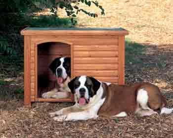 dog house 2