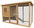 Chicken COOP  1