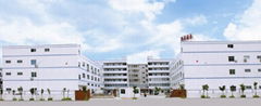 Dongguan Flint Packing Materials Co., Ltd.