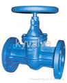 cast iron DIN3352 F5 gate valve 1