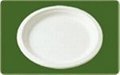 biodegradable tableware 1