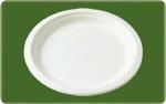 biodegradable tableware