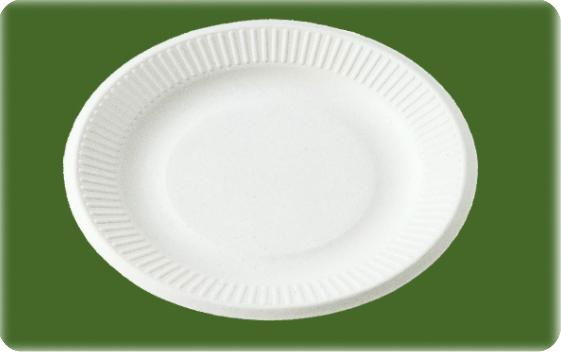 biodegradable tableware 2