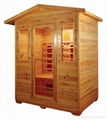 far infrared sauna 1