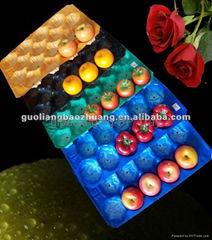 fruit tray in food grade