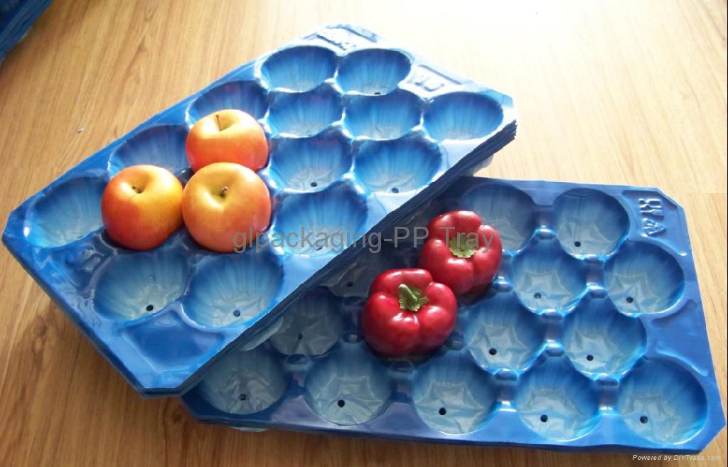 fruit tray in food grade 3