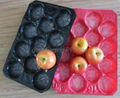 Insert tray for apple