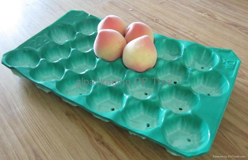 Insert tray for apple 3