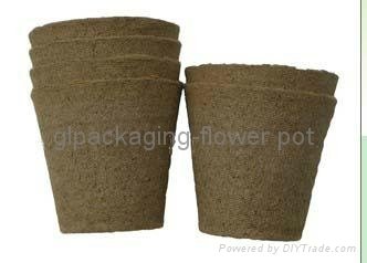 biodegradable flower pot 2