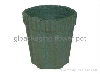 biodegradable flower pot 5