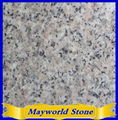 G636 anhai white granite slab 1