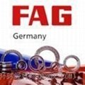 FAG Cylindrical roller bearing 1