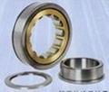 Cylindrical roller bearing