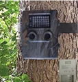 scouting trail camera