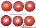 cricket leather ball.