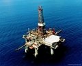 Oil Drilling Grade CMC