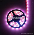 LED FLEX STRIP LIGHT SM-Y3528FS60-F12V 1