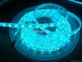 LED STRIP LIGHT RGB5050FS60-F12V 1