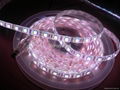 LED High Light Strip