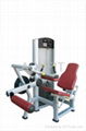 Seated Leg Curl-Fitness Equipment 1