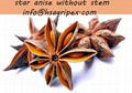 star anise 1