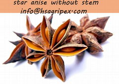 star anise