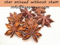 star anise 2