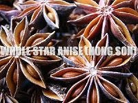 star anise whole and broken