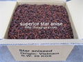 star aniseed