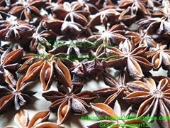 Star aniseed -high quality from viet nam