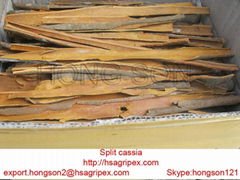 Split cassia