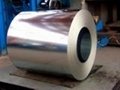 Cold rolled steel strip/coil  1