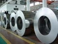 Cold rolled steel coil  1