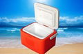 cooler box for picnic 1