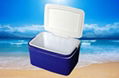 cooler box for picnic 2