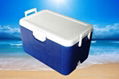 cooler box for picnic 1