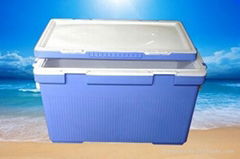 cooler box for picnic