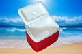 cooler box for picnic