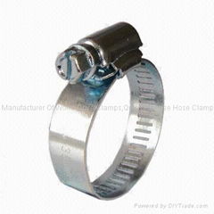 Worm Drive Clamps