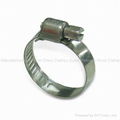 Micro Gear Hose Clamps 1