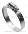 Silicon Hose Clamp 1