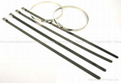 Stainless Steel Cable Ties