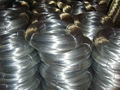 Galvanzied wire  2