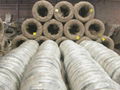 Galvanzied wire  5