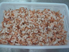vannamei shrimp headless, half shell-on 